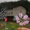 殿下Andy