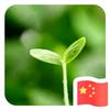 无名凤儿