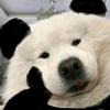 以爱国主义为荣