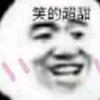 小几猪鸽鸽