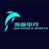 重庆市海豚电竞
