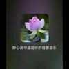 传统文化