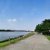 এ💞ꦿ陌陌⁵²º᭄এ_________