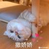 许你漫漫银河