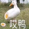 大鹅生鲜零食铺