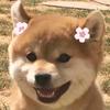 小满搞笑