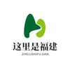 这里是福建