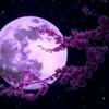 探知宇宙