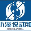 小溪说动物
