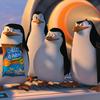 马达加斯加的企鹅