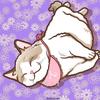 猫坞里高端猫咪洗护专门店官方号