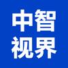 中智视界