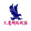 天鹰网络战队