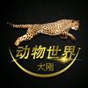 大刚动物世界