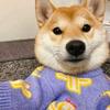 冯·诺依曼的玩笑
