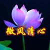 随风清心手作