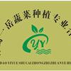 青岛一岳蔬菜种植专业合作社