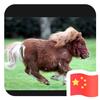 光明什么都知道