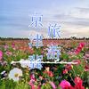 带着宝贝去旅行（收徒中）