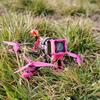 老飞侠FPV