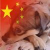 模仿柯南的伪侦探