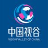 中国视谷