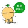 菜頭
