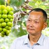 徐卫东神园葡萄
