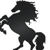 欢乐马🐴