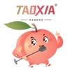 桃下TAOXIA音响