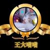 王大喵喵日常