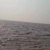 海洋