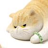 张小猫
