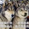 烤面包机（暗区突围pc）