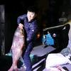 游钓寻鱼之路