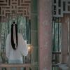 糖甜妹子儿