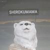 Mr.shirokuma