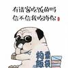 考拉：旺旺是只田园犬