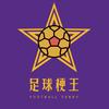 足球梗王⚽