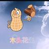 木头花生