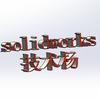 solidworks技术杨
