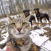 猫宁小说