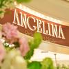 ANGELINA长沙