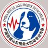中国消防搜救犬