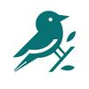 文鸟logo设计