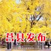 莒县发布