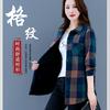 凤凰～温暖莆田