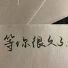 一只穿什么