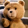 莫家宠物