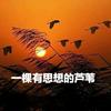 一棵有思想的芦苇